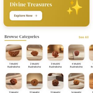 eCommerce Site Kit